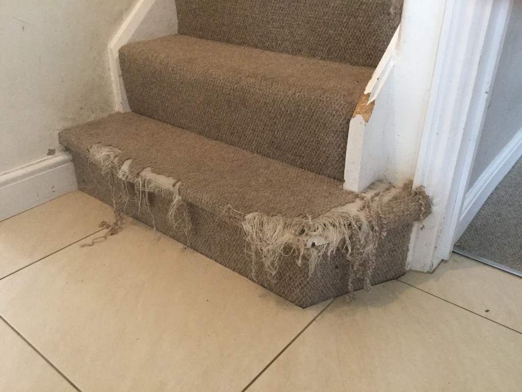 Chelmsford Cat scratched stair carpet repairs