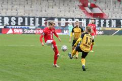 15.-Spieltag-Hallescher-FC-SG-Dynamo-Dresden-1-3-1