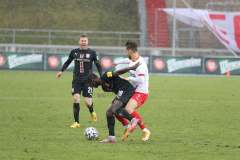 FSV-Zwickau-Hallescher-FC-40