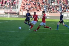 Hallescher-FC-SV-Waldhof-Mannheim-89