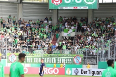 Hallescher-FC-VfL-Wolfsburg-133