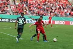 Hallescher-FC-VfL-Wolfsburg-137