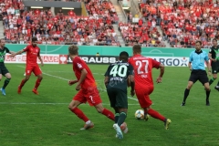 Hallescher-FC-VfL-Wolfsburg-141