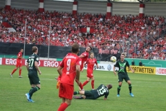 Hallescher-FC-VfL-Wolfsburg-148