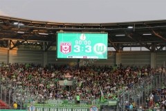 Hallescher-FC-VfL-Wolfsburg-160