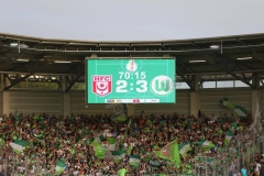 Hallescher-FC-VfL-Wolfsburg-171