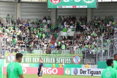 Hallescher-FC-VfL-Wolfsburg-173