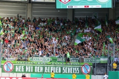 Hallescher-FC-VfL-Wolfsburg-23