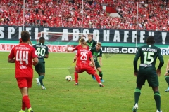 Hallescher-FC-VfL-Wolfsburg-27