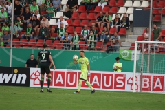 Hallescher-FC-VfL-Wolfsburg-35