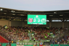 Hallescher-FC-VfL-Wolfsburg-42