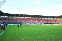 Hallescher-FC-VfL-Wolfsburg-50