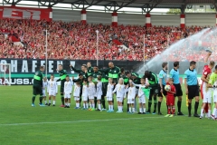 Hallescher-FC-VfL-Wolfsburg-51