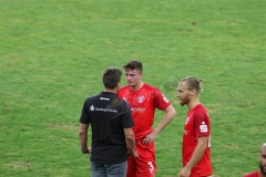 Hallescher-FC-VfL-Wolfsburg-61