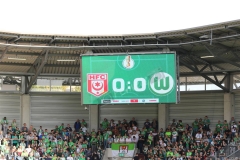 Hallescher-FC-VfL-Wolfsburg-74