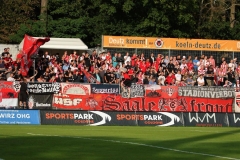 Viktoria-Köln-Hallescher-FC-107
