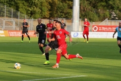 Viktoria-Köln-Hallescher-FC-108