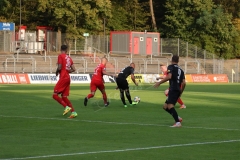 Viktoria-Köln-Hallescher-FC-7