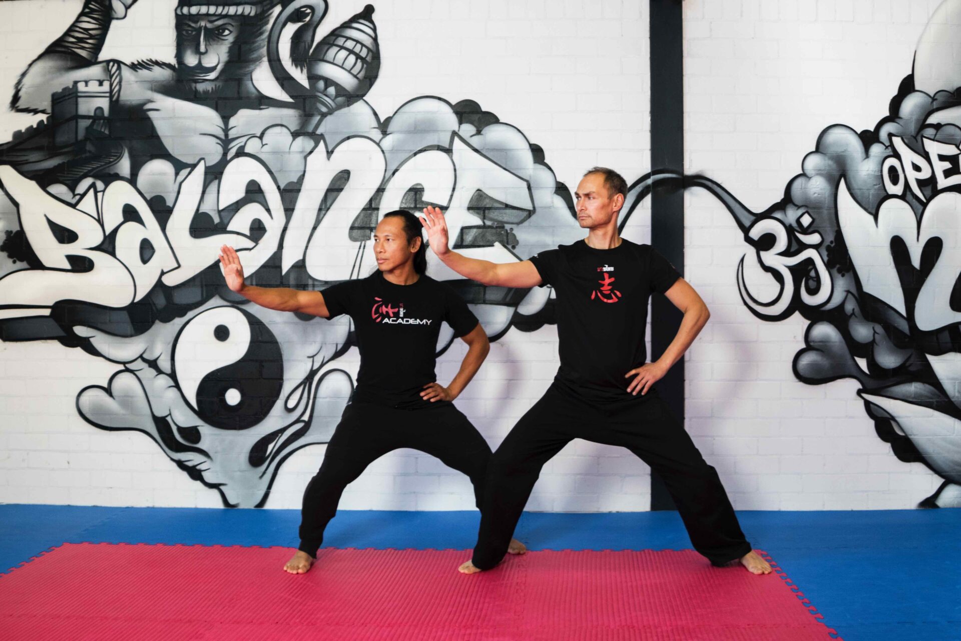 Hoe Tai Chi zich ontwikkelde en hoe belangrijk deze is in de huidige samenleving.