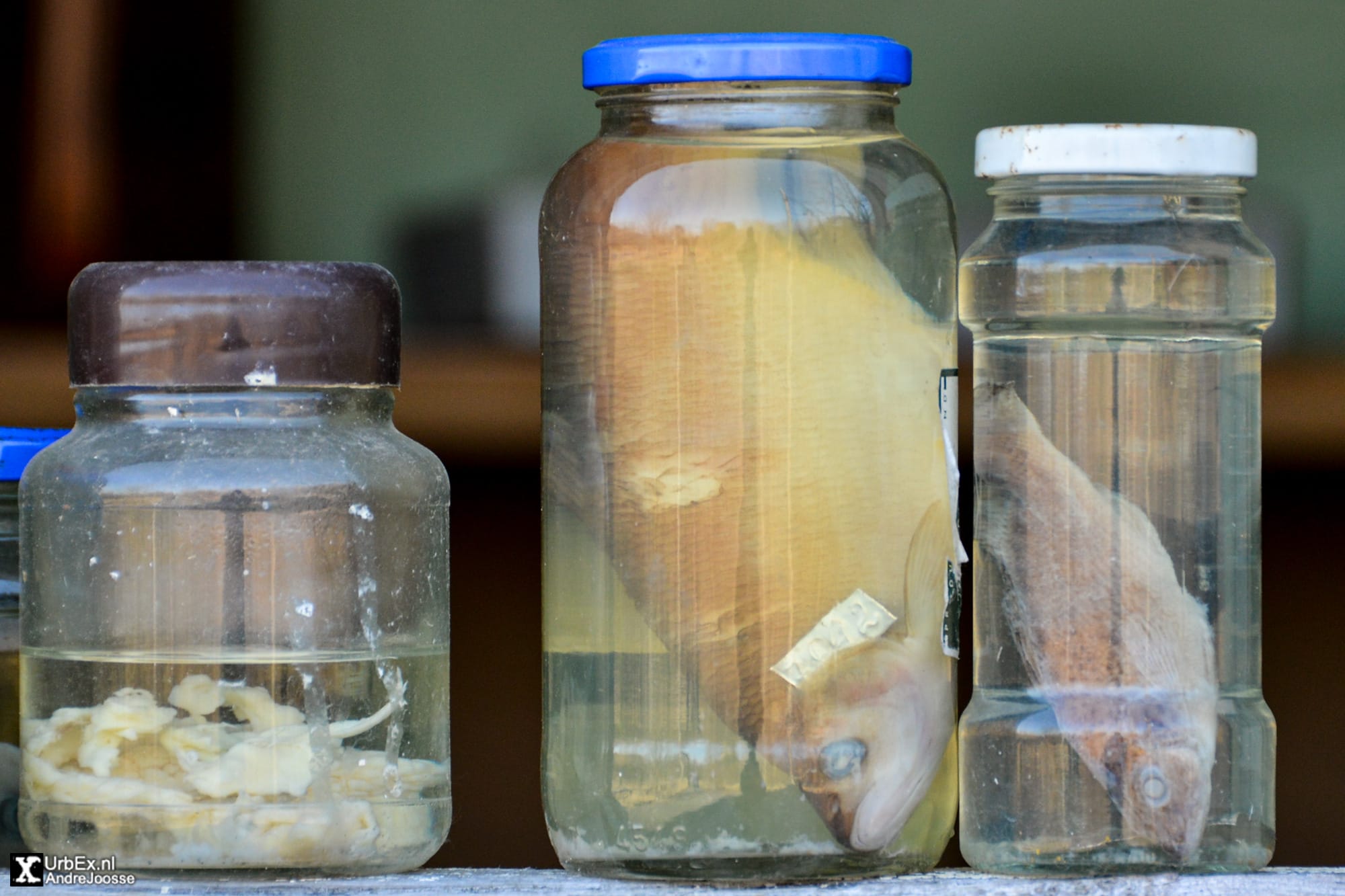 Laboratory of Hydrobiology