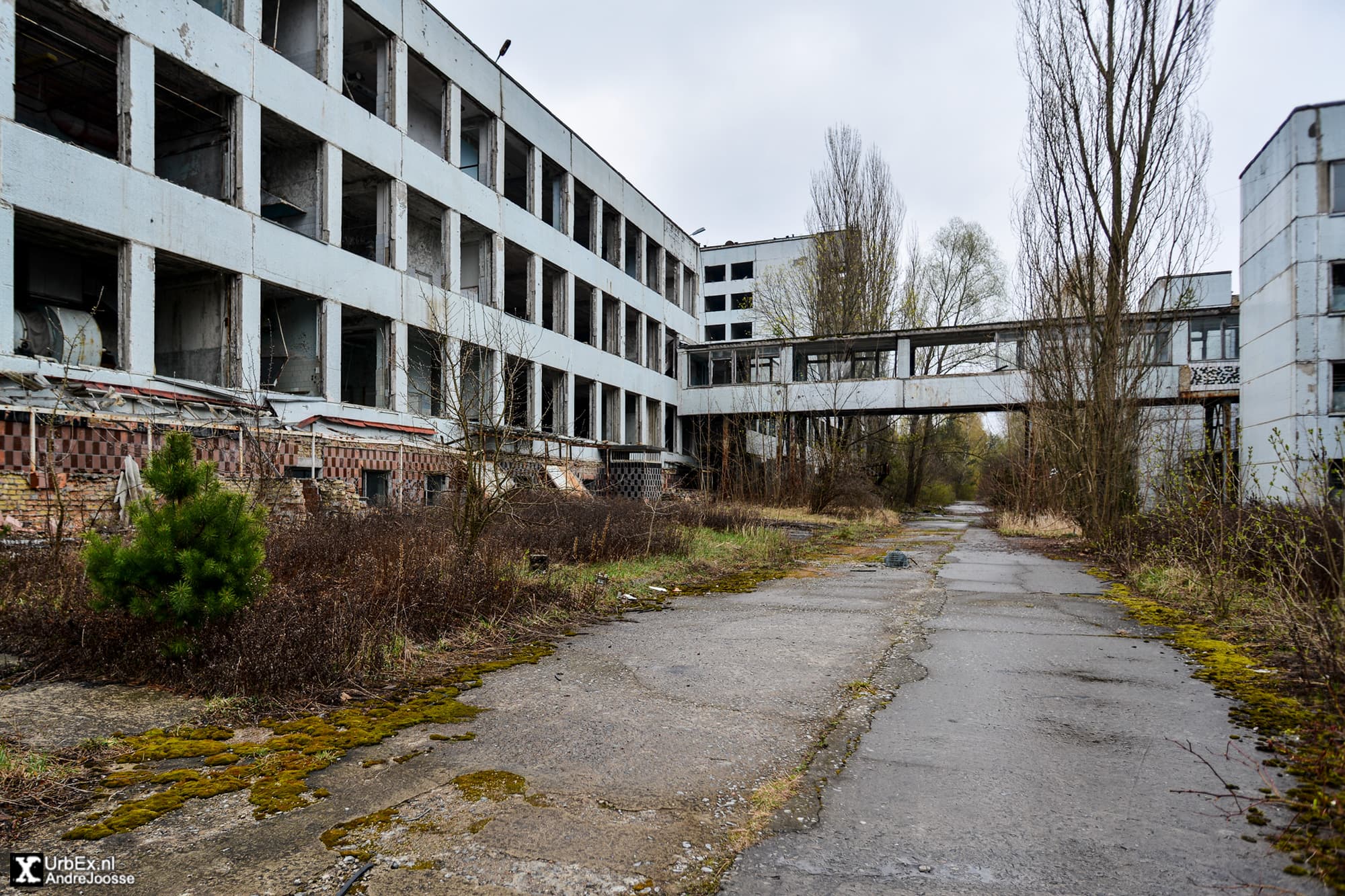 Factory Chernobyl 35 years later