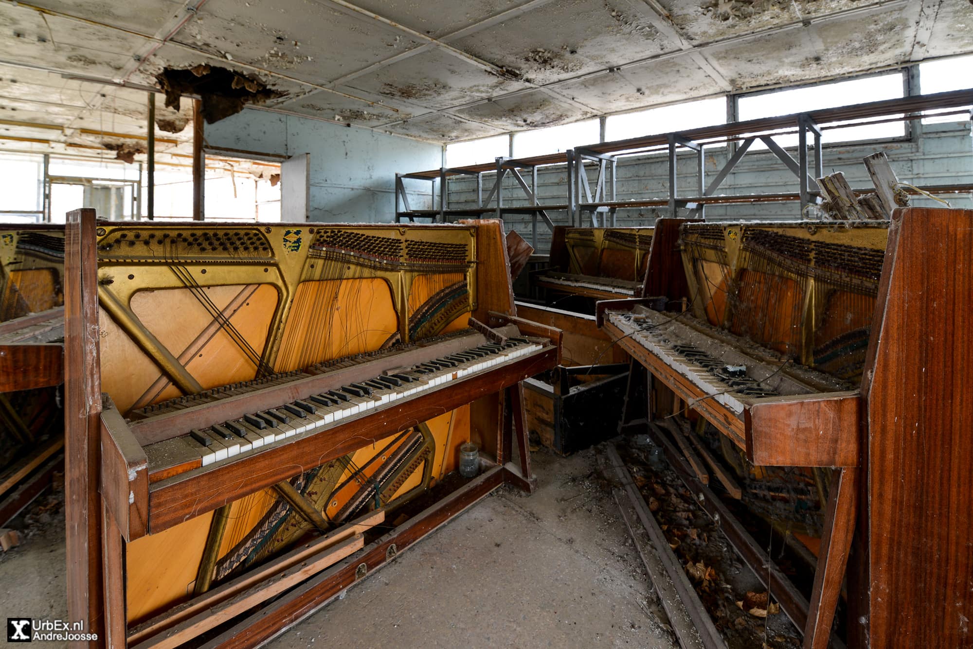 The Piano Shop