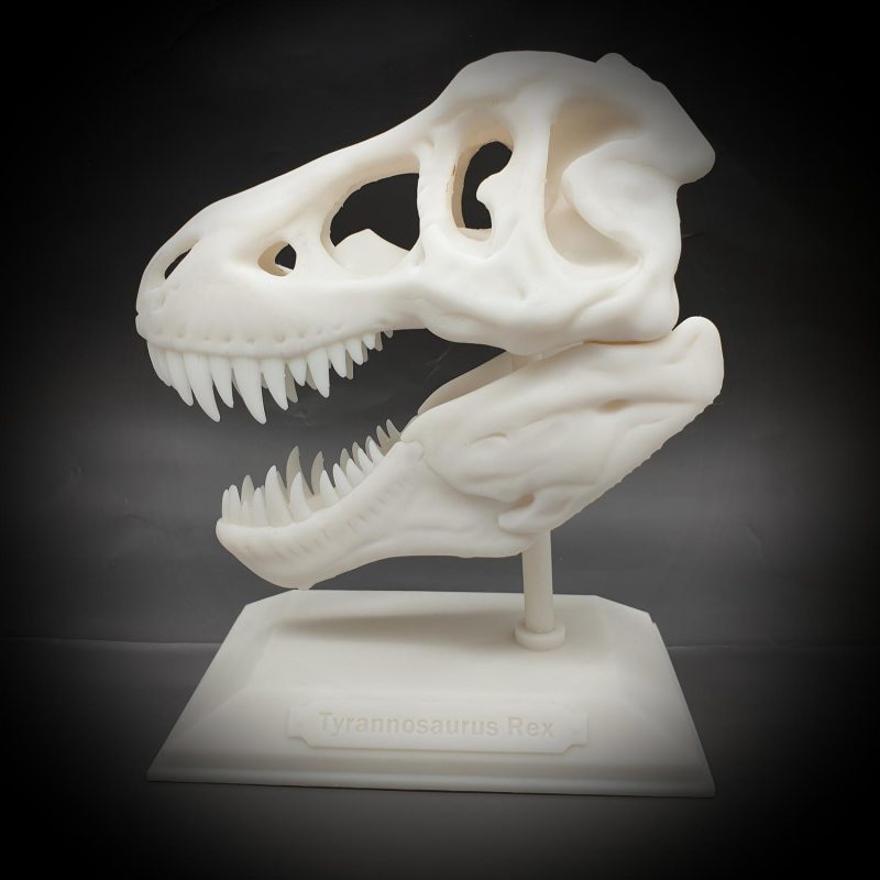 Tyrannosaurus Rex halloween skull decoration T-rex with stand