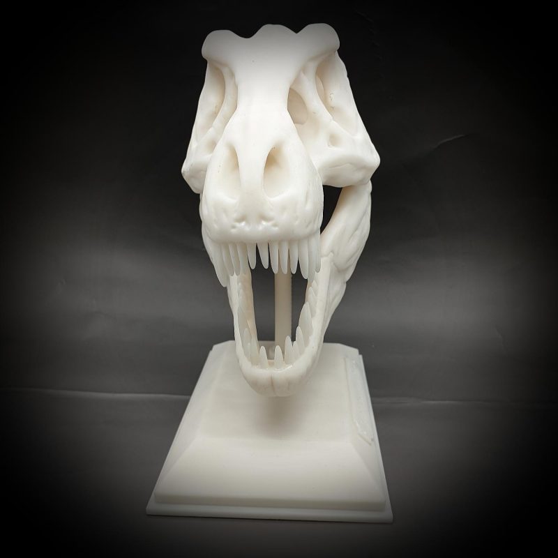 Tyrannosaurus Rex halloween skull decoration T-rex with stand