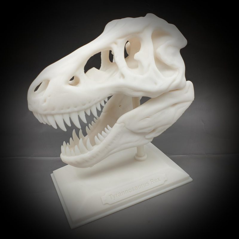 Tyrannosaurus Rex halloween skull decoration T-rex with stand