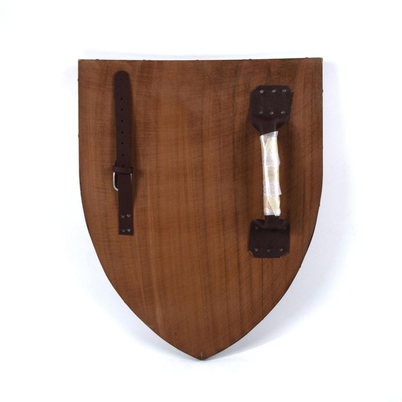 Symbol of Chaos Wooden Curved Viking Shield SWE115