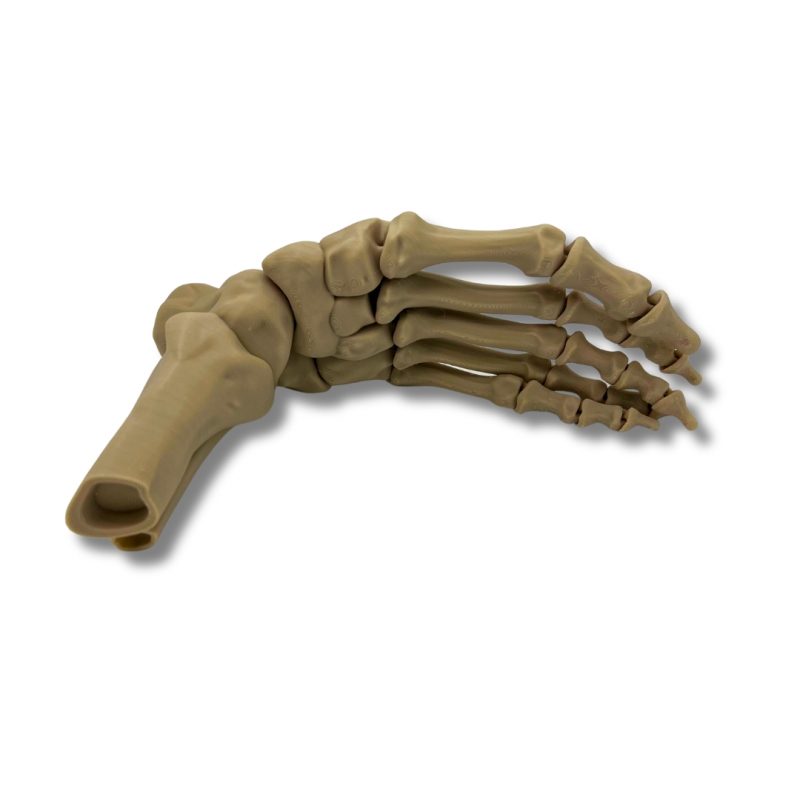Skeleton foot halloween decoration toy 25 cm