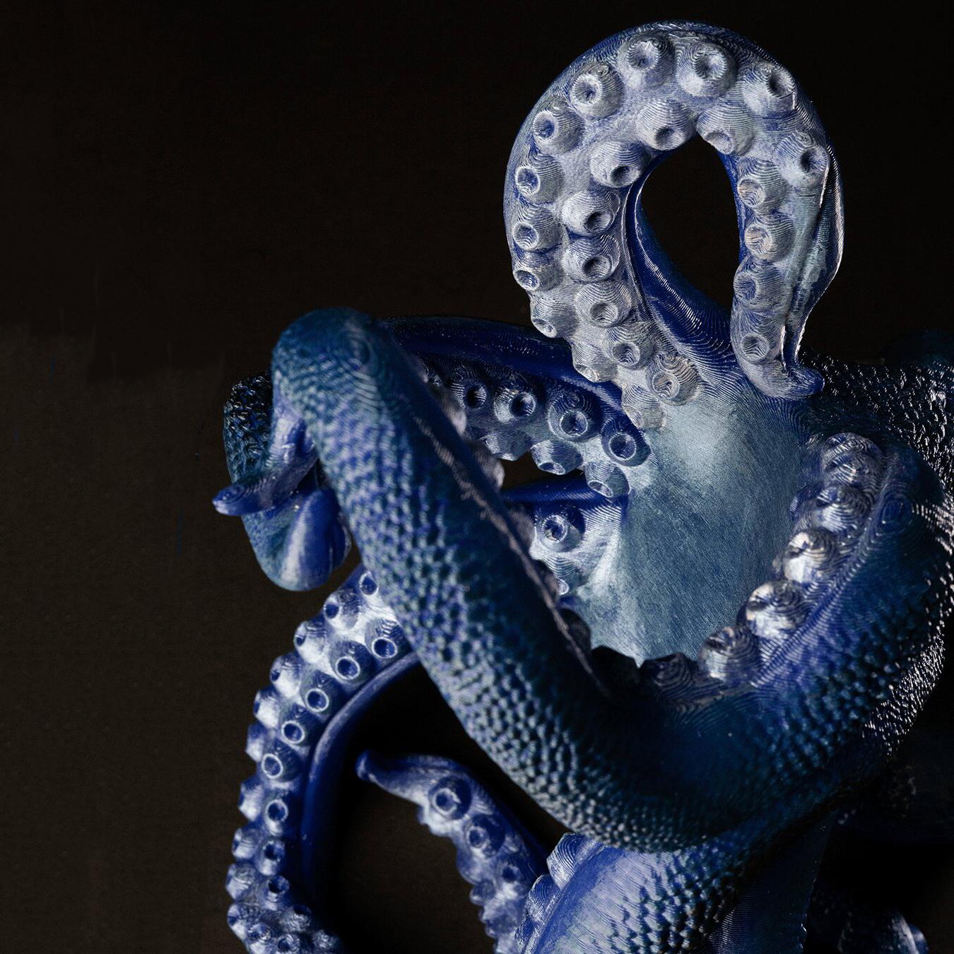 Bordeaux The octopus wine holder