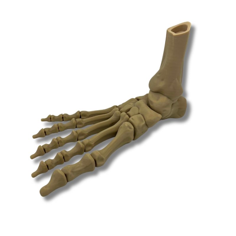 Skeleton foot halloween decoration toy 25 cm