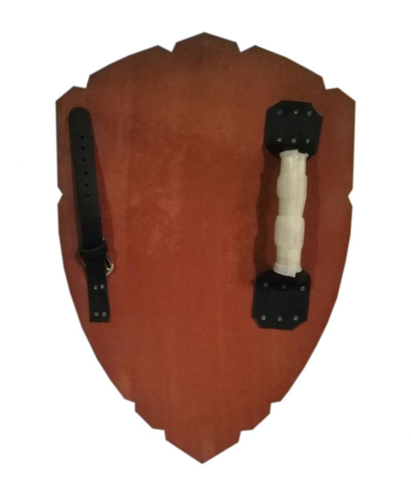 Trä Legend of Zelda Curved Shield SWE100