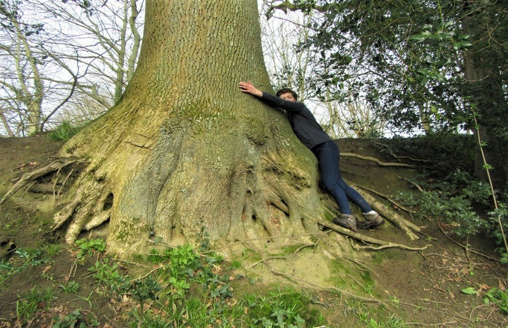 Is TreeHugging Good for Your Health? The Human Experience
