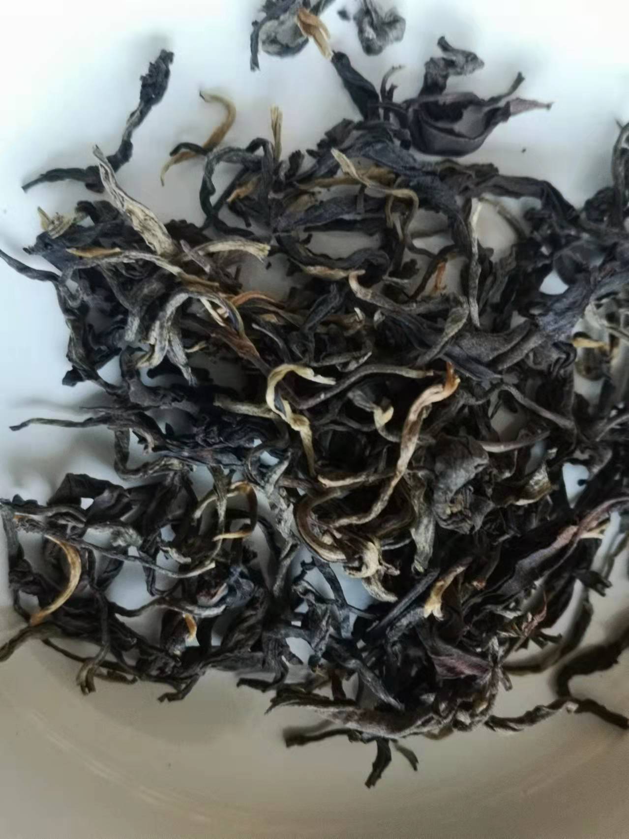 B1. WuLiangShan Gushu Black Tea