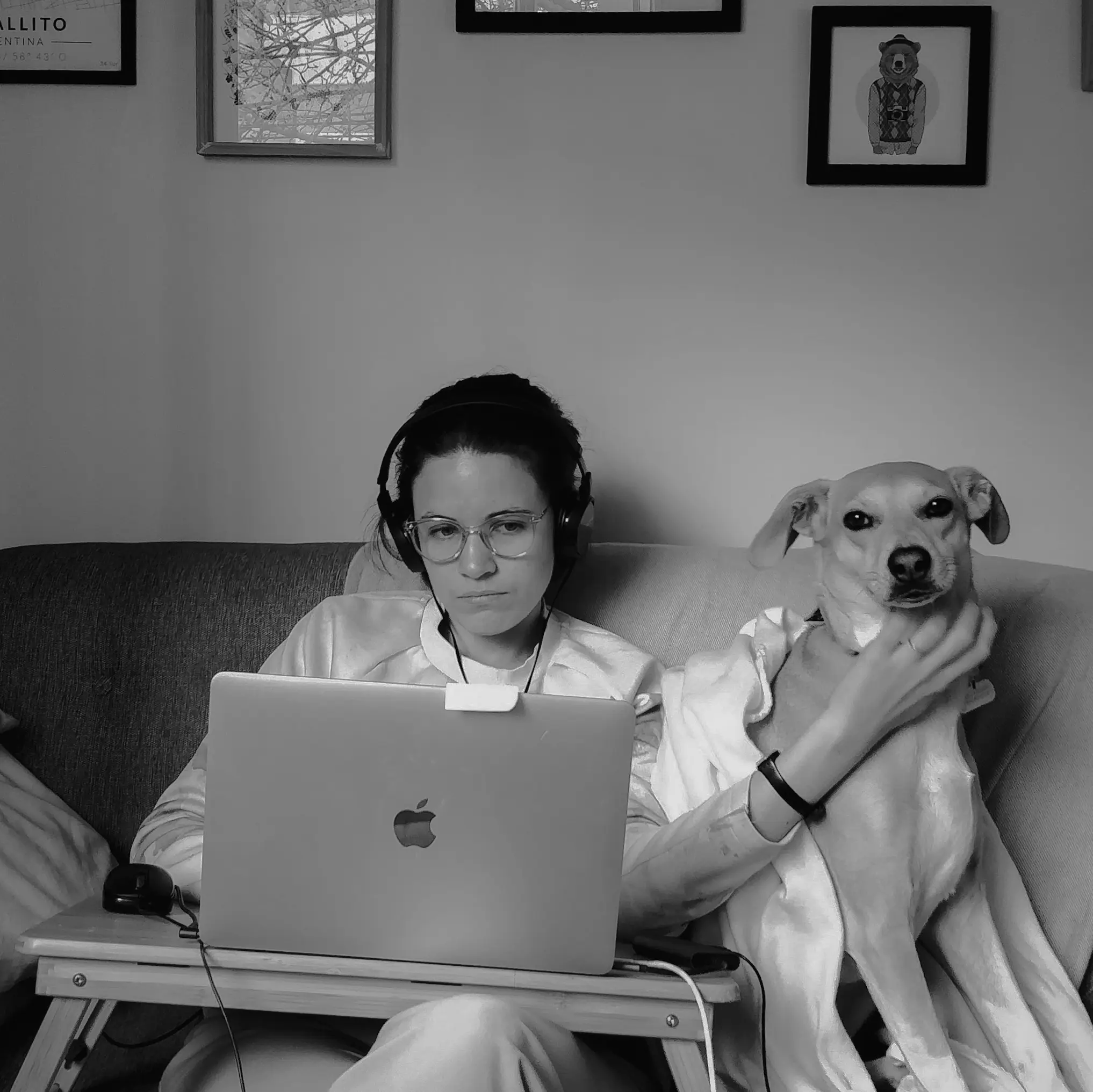 dog-copy