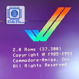 AMIGA