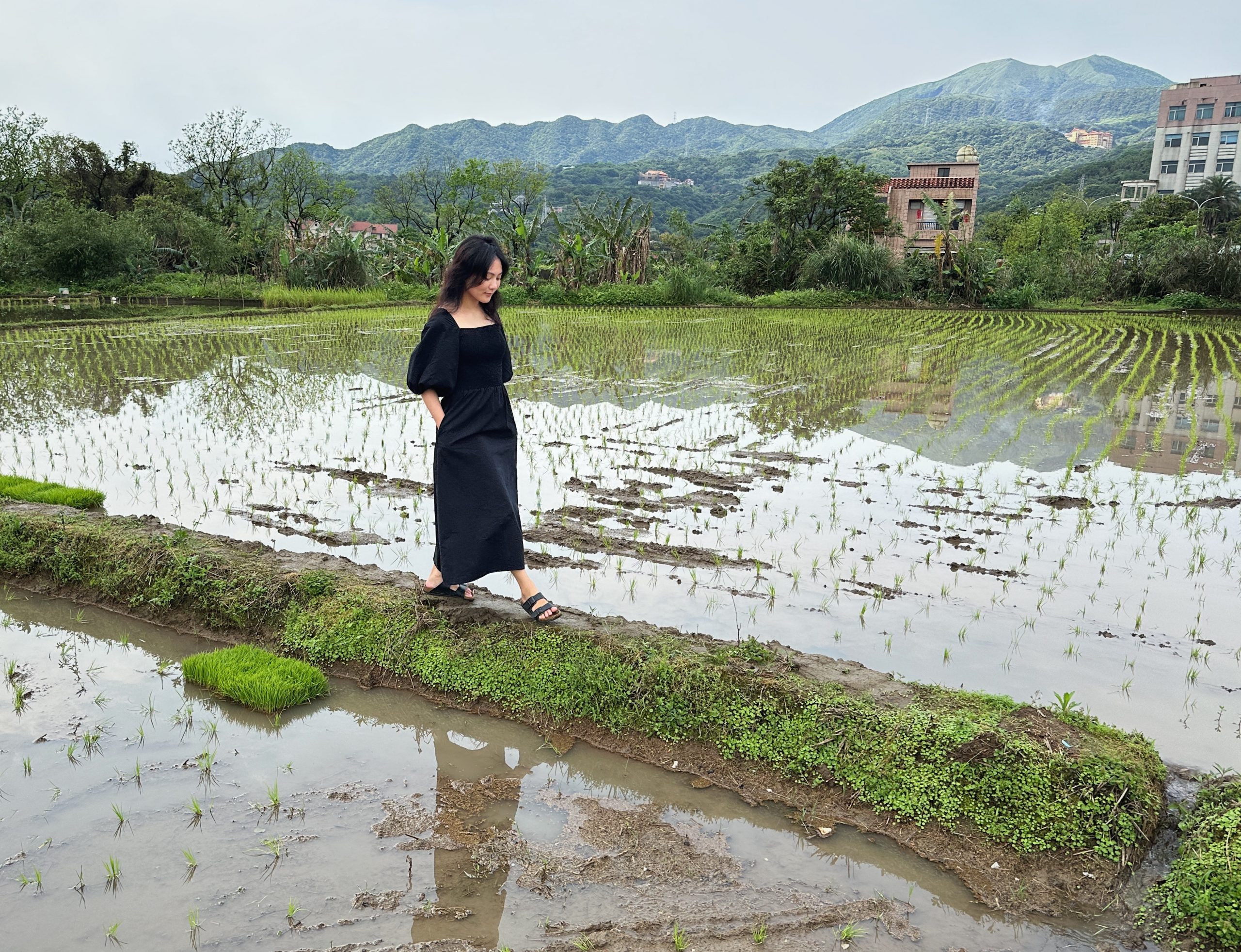 Bland risfält & berg i Jinshan