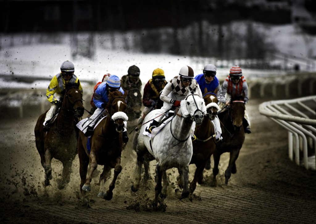 Täby galopp *** Local Caption ***  Täby galopp ska flytta, Bro en av de hetaste kandidaterna för ny galoppbana.