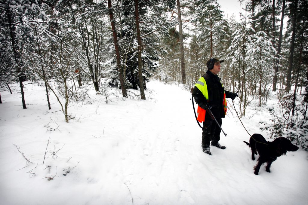 namn? *** Local Caption *** Lidingö viltvårdarna på dovhjorts jakt.