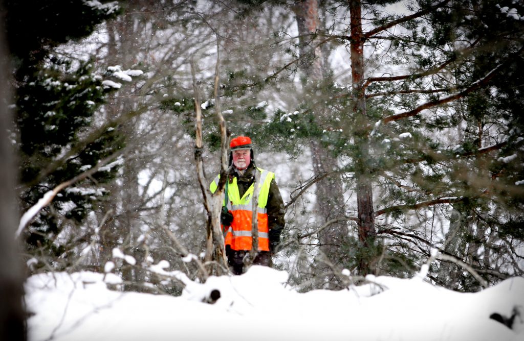 namn? *** Local Caption *** Lidingö viltvårdarna på dovhjorts jakt.