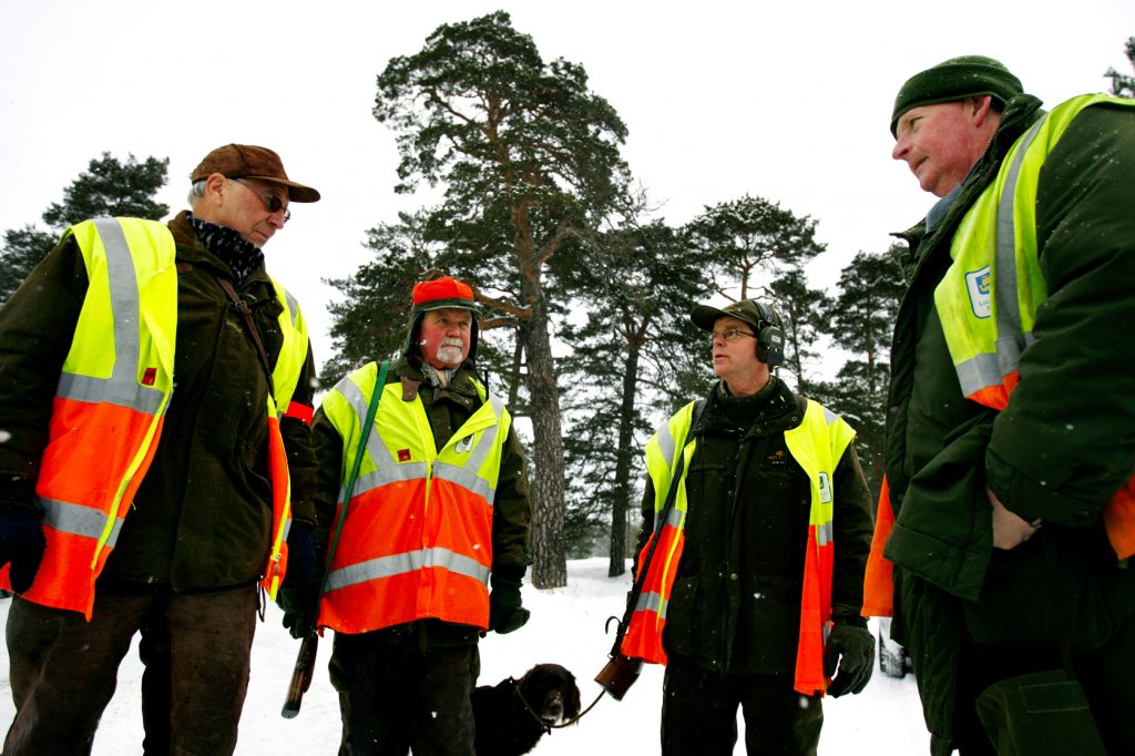 namn? *** Local Caption *** Lidingö viltvårdarna på dovhjorts jakt.