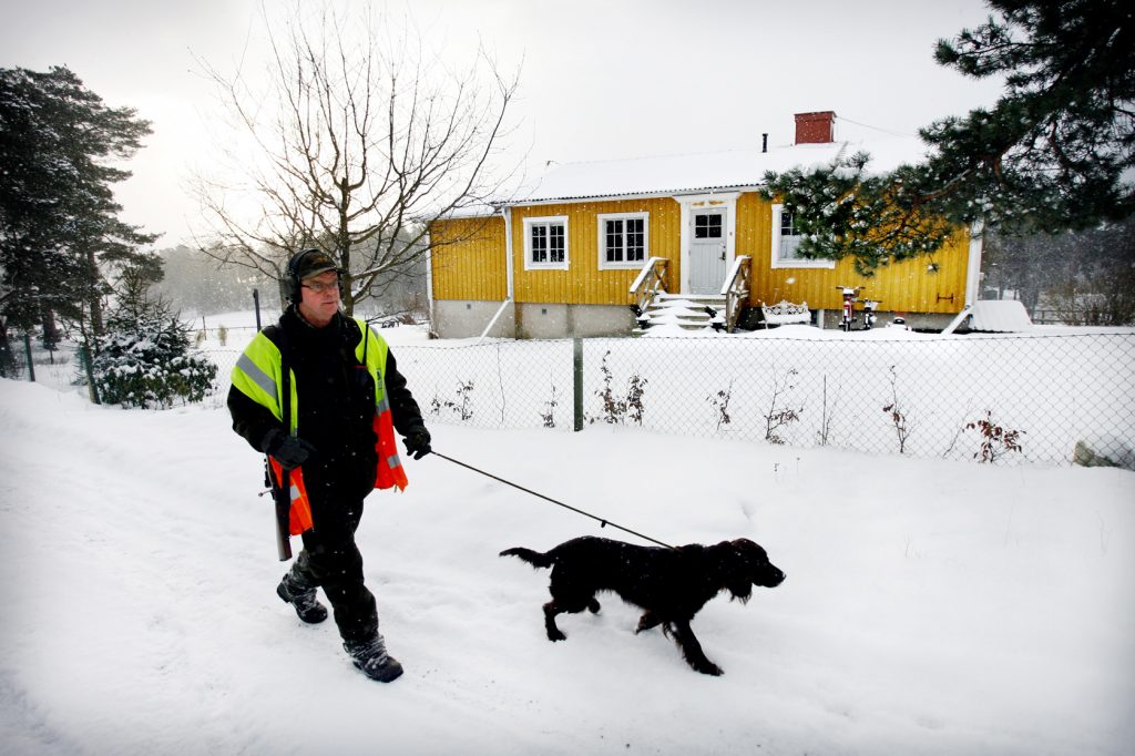 namn? *** Local Caption *** Lidingö viltvårdarna på dovhjorts jakt.