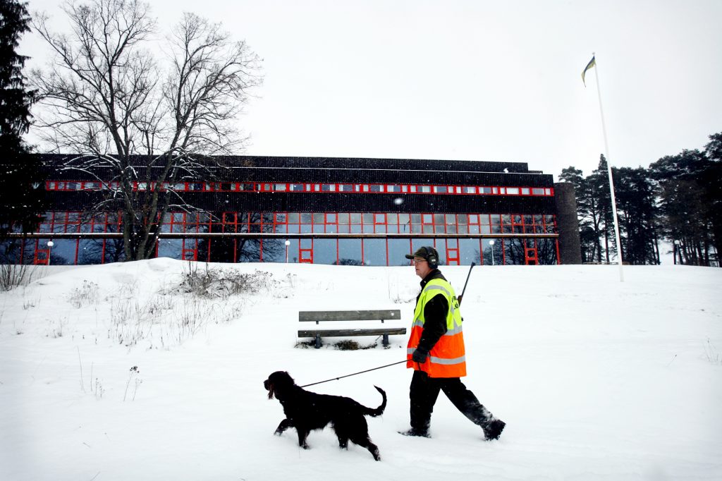 namn? *** Local Caption *** Lidingö viltvårdarna på dovhjorts jakt.