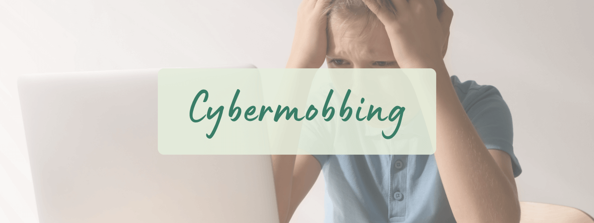 Cybermobbing