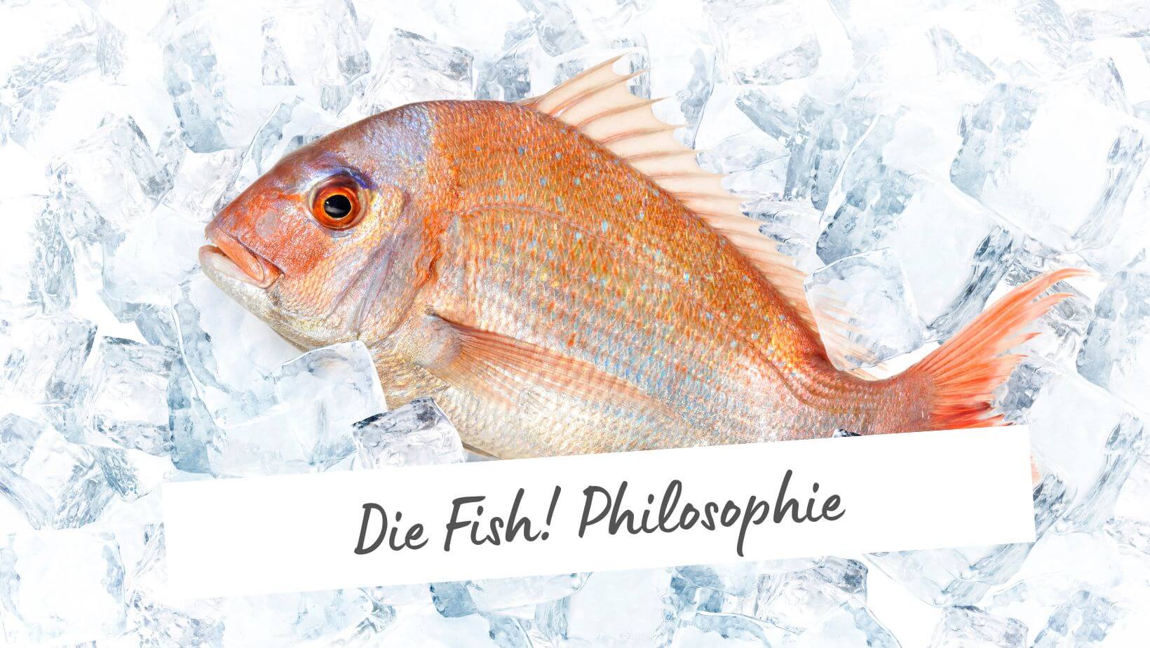Der Fisch symbolisiert die FISH! Philosophie