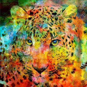 Christian Lange - Leopard