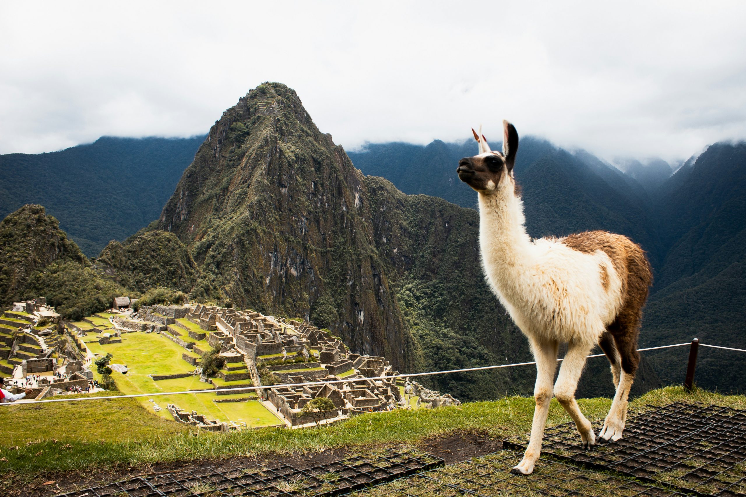 9A2B45B9-236D-47D0-83B1-4CE293A49D61 Peru