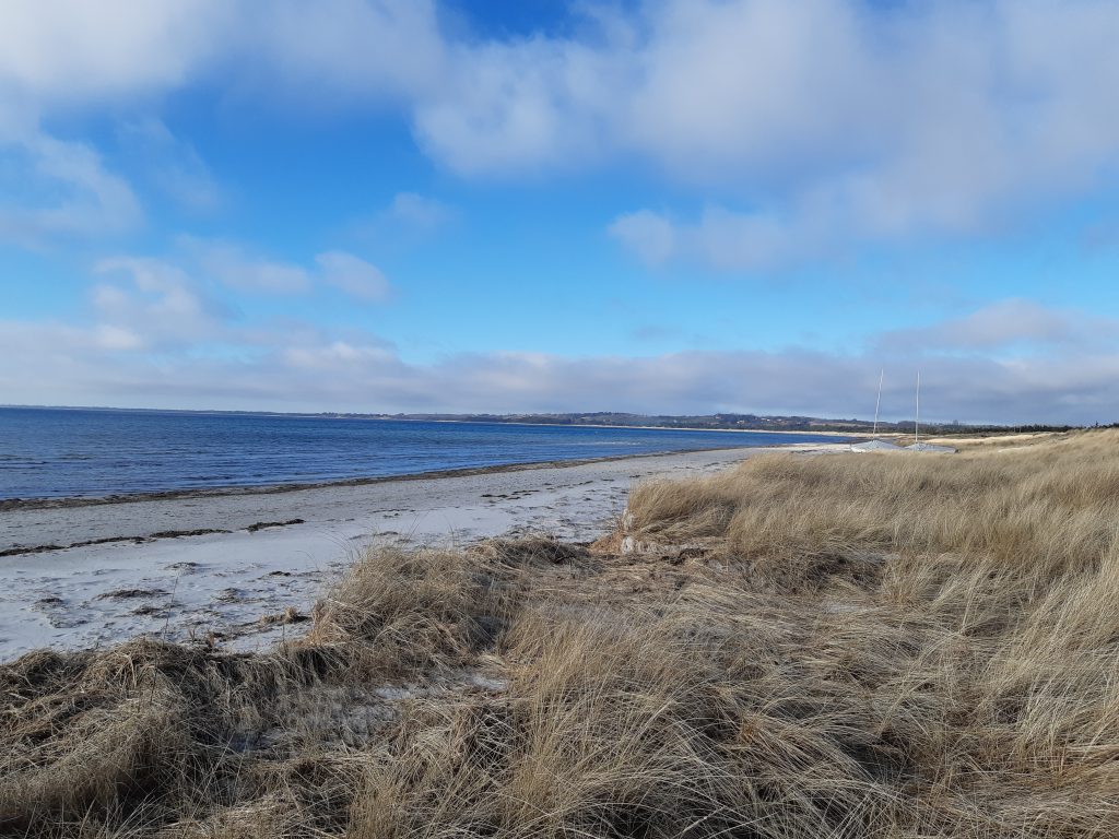 Strand skarpt vinterlys gåtur